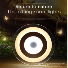 Factory Direct-Sale Low Price 62W LED Lighting for Living Room
